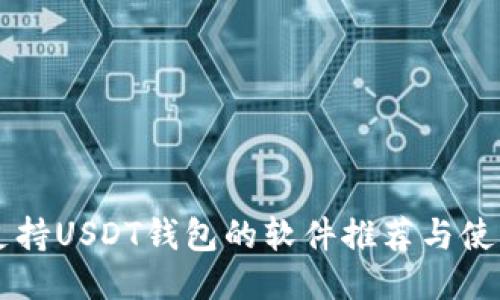 国内支持USDT钱包的软件推荐与使用指南