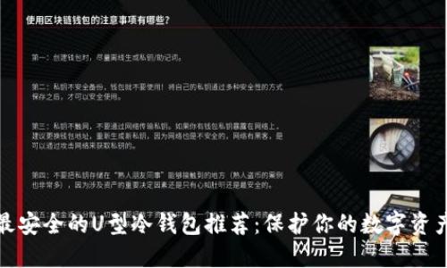 最安全的U型冷钱包推荐：保护你的数字资产