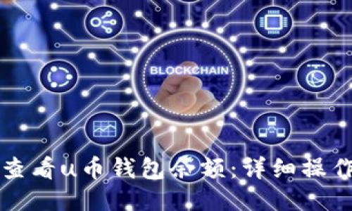 如何查看u币钱包余额：详细操作指南