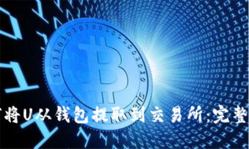 如何将U从钱包提取到交易所：完整指南