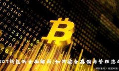 ERC20 USDT钱包的全面解析：