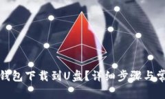 如何将手机钱包下载到U盘？详细步骤与常见问题