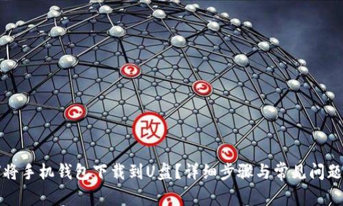 如何将手机钱包下载到U盘？详细步骤与常见问题解答