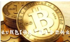 在国外用什么U钱包？快速了解适合你的出境支付