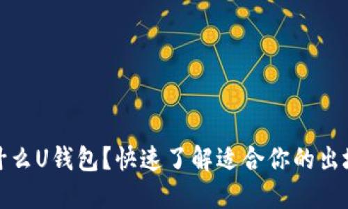 在国外用什么U钱包？快速了解适合你的出境支付工具