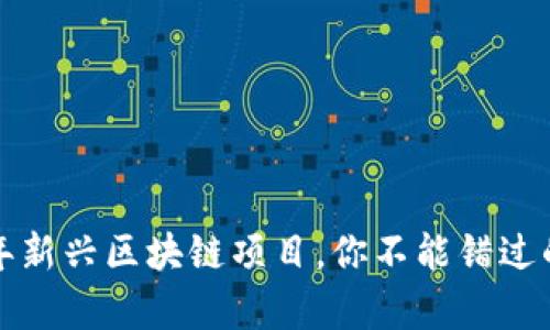 2023年新兴区块链项目，你不能错过的奇迹！