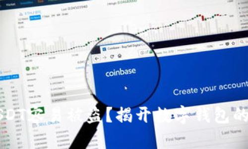 为什么USDT容易被盗？揭开数字钱包的安全隐患