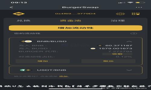 易欧U怎么放到冷钱包？简单步骤教你轻松操作！