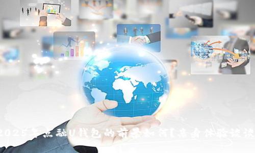 2025年点融U钱包的前景如何？亲身体验谈谈！