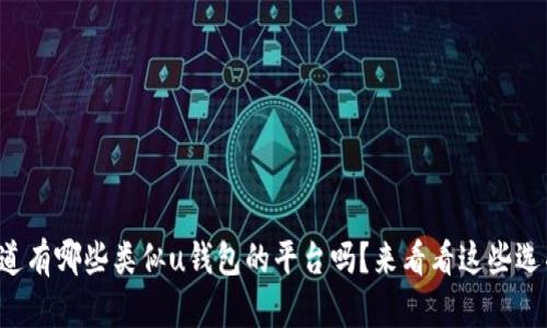 你知道有哪些类似u钱包的平台吗？来看看这些选项吧！