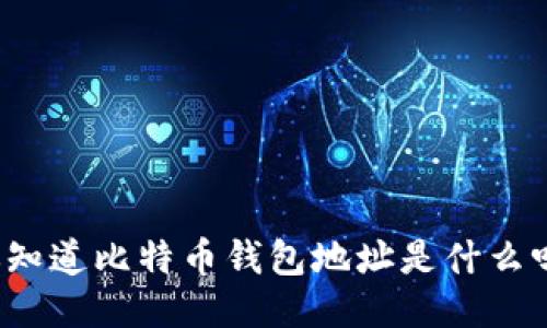 你知道比特币钱包地址是什么吗？