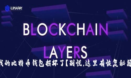 “我的比特币钱包损坏了？别慌，这里有恢复秘籍！”