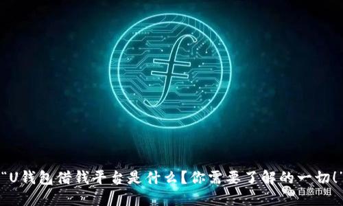 “U钱包借钱平台是什么？你需要了解的一切！”