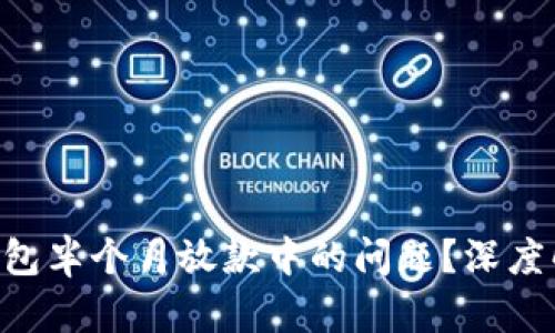 怎么处理u钱包半个月放款中的问题？深度解析解决方案