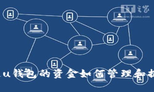 你知道u钱包的资金如何管理和提现吗？