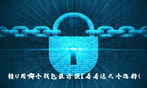 转U用哪个钱包最方便？看看这几个选择！