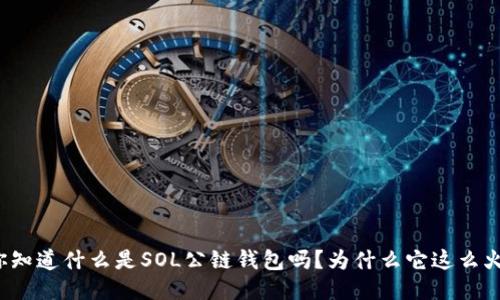 你知道什么是SOL公链钱包吗？为什么它这么火？