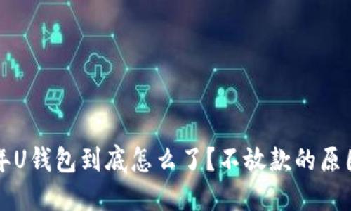 2021年U钱包到底怎么了？不放款的原因揭秘！