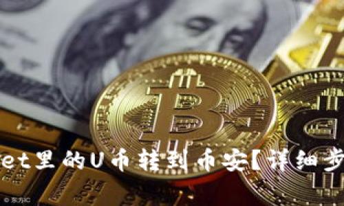 如何将tpWallet里的U币转到币安？详细步骤和注意事项