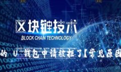 为什么我的 U 钱包申请被