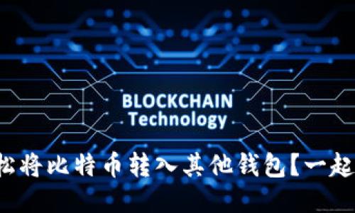 如何轻松将比特币转入其他钱包？一起聊聊吧！