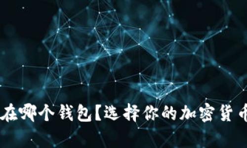 U 可以放在哪个钱包？选择你的加密货币存储方案