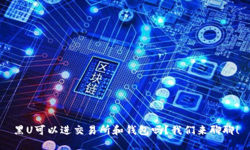 黑U可以进交易所和钱包吗？我们来聊聊！