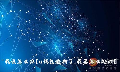 “我该怎么办？u钱包逾期了，我要怎么处理？”
