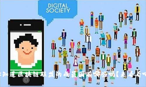 你知道区块链联盟的成员国有哪些吗？来看看吧！