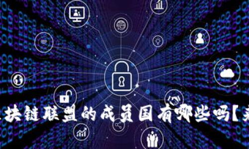 你知道区块链联盟的成员国有哪些吗？来看看吧！