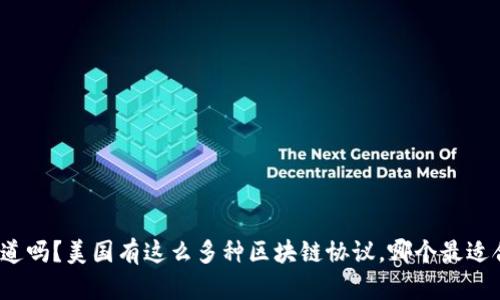 你知道吗？美国有这么多种区块链协议，哪个最适合你？