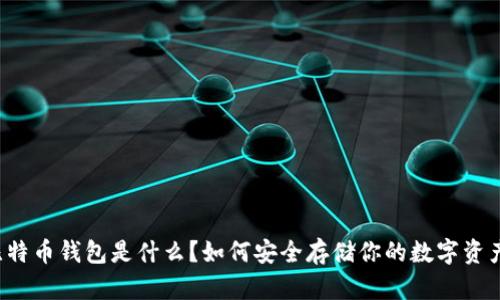 比特币钱包是什么？如何安全存储你的数字资产？