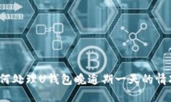 如何处理U钱包晚逾期一天