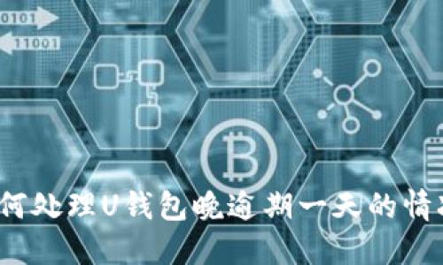 如何处理U钱包晚逾期一天的情况？