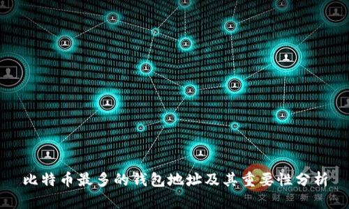 比特币最多的钱包地址及其重要性分析