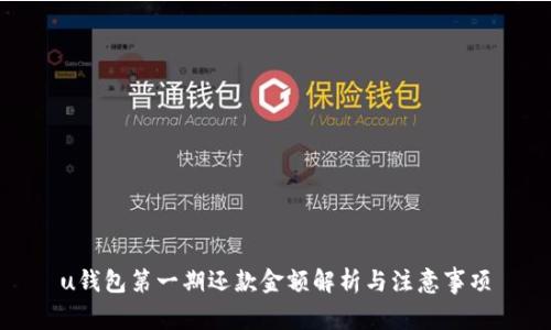 u钱包第一期还款金额解析与注意事项