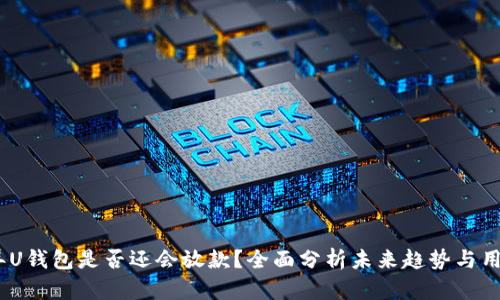 2025年U钱包是否还会放款？全面分析未来趋势与用户影响