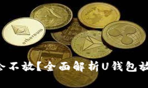 U钱包放款中会不会不放？全面解析U钱包放款流程及常见问题