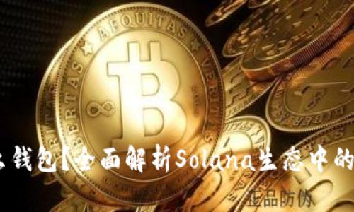 Sol钱包是什么钱包？全面解析Solana生态中的数字货币钱包