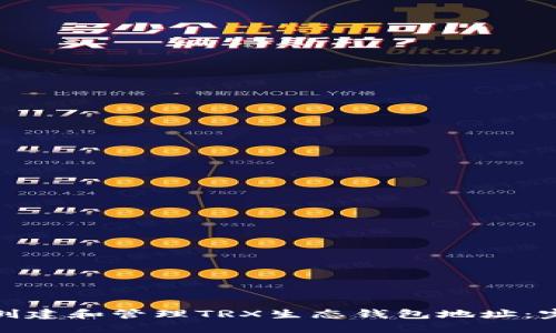 : 如何创建和管理TRX生态钱包地址：完整指南