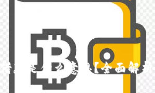 U钱包再次借款是什么意思？全面解析与使用指南