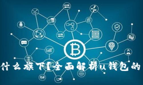 u钱包属于什么旗下？全面解析u钱包的发展与背景