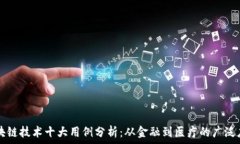   区块链技术十大用例分析：从金融到医疗的广泛