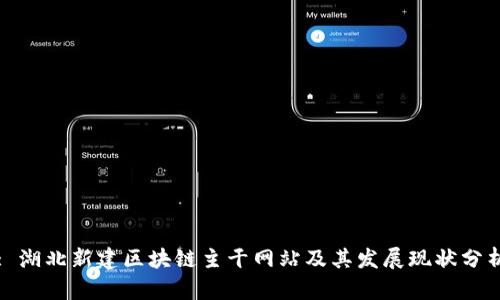 : 湖北新建区块链主干网站及其发展现状分析