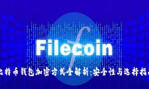 比特币钱包加密方式全解析：安全性与选择指南