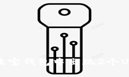 如何解决波宝钱包中出现2个USDT的问题